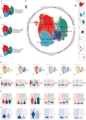 IGFBP7+ subpopulation and IGFBP7 risk score in astrocytoma: insights from scRNA-Seq and bulk RNA-Seq